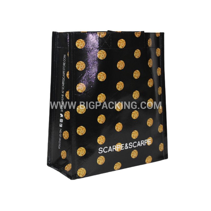 PP Non Woven Laminated Bag