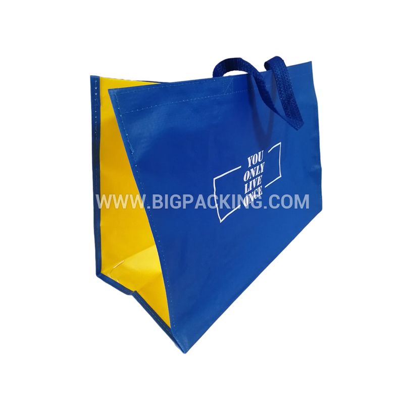 PP Woven Laminated Bag