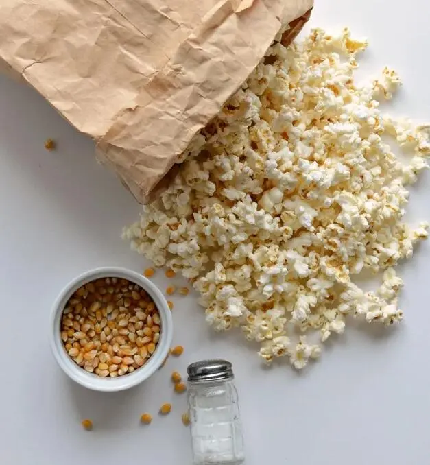HOW TO POP POPCORN IN THE MICROWAVE USING JUST A PAPER BAG