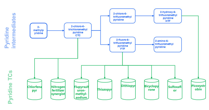 Chlorinated and Fluorinated Derivatives of Methylpyridine and Their Market and Supply