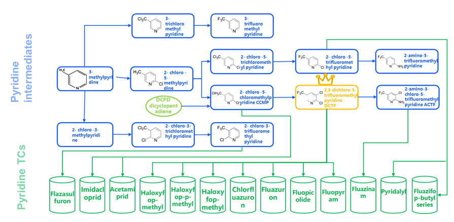 Chlorinated and Fluorinated Derivatives of Methylpyridine and Their Market and Supply