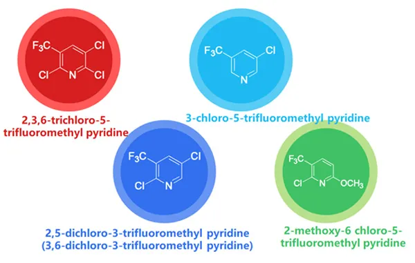 Chlorinated and Fluorinated Derivatives of Methylpyridine and Their Market and Supply