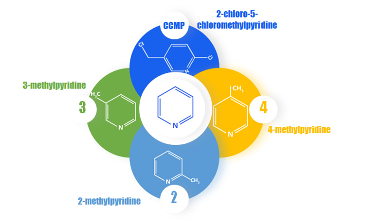 Chlorinated and Fluorinated Derivatives of Methylpyridine and Their Market and Supply