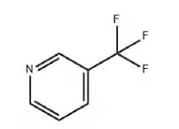 Application of 2-hydroxy-3-trifluoromethylpyridine in insecticides and antagonists and in the preparation of other pharmaceutical compositions