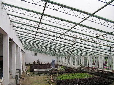 Glass roof and canopy