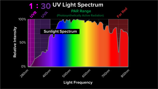 UV Light Spectrum