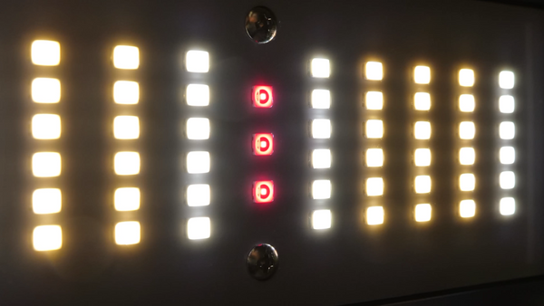 LED Grow Lights: A Comprehensive Buyer's Guide