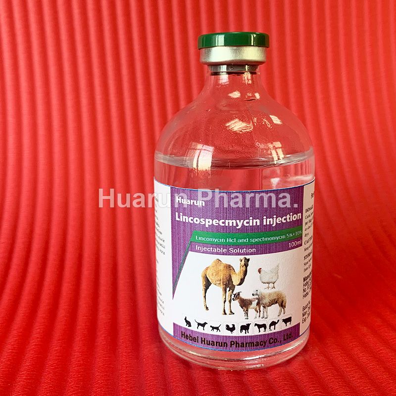 Lincomycin Hcl and spectinomycin injection