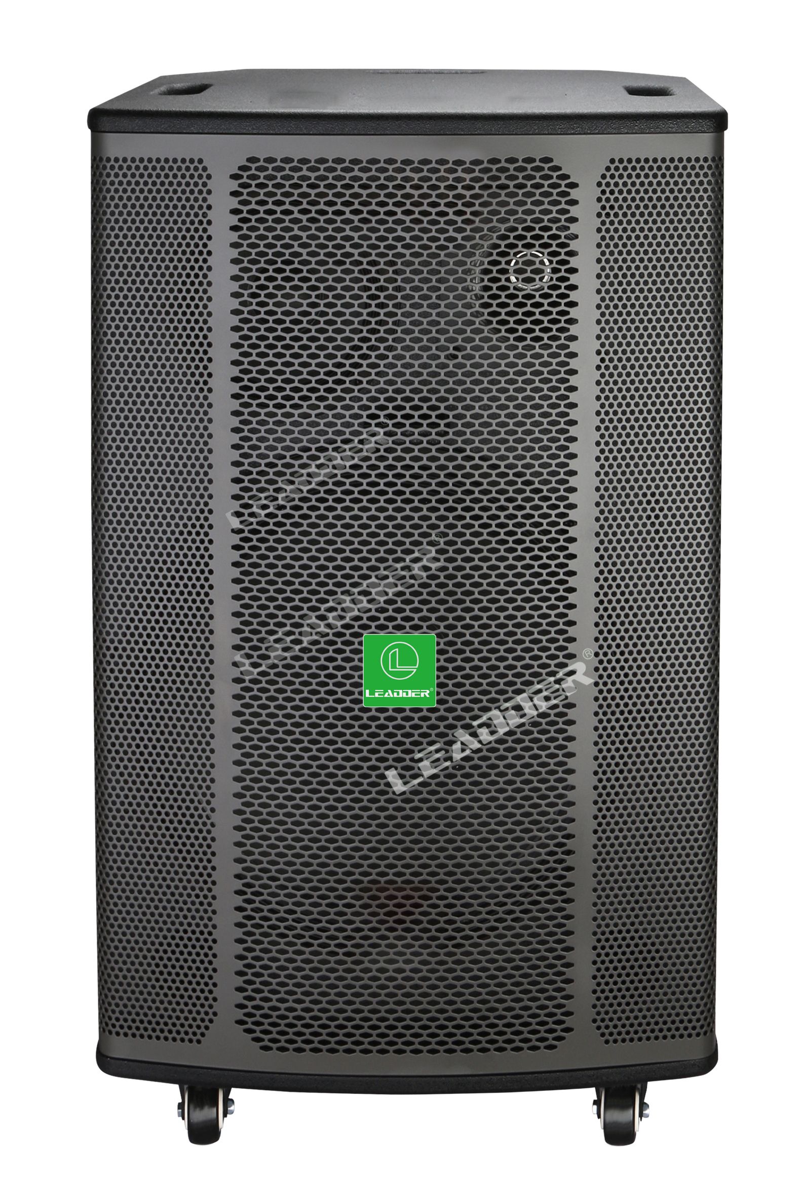 8 Inch HIFI SPEAKER SP-803