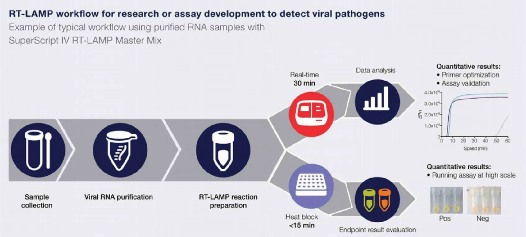 Discover more efficient real-time PCR (qPCR)