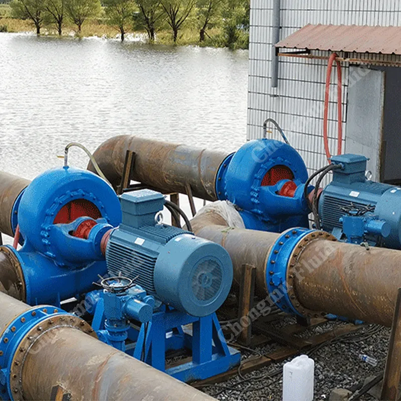 Bomba de flujo mixto utilizada en un proyecto de conservación de agua