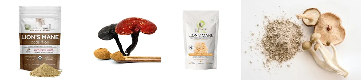 Lion's Mane Mushroom Extract supplier Yangge Biotech Lion's Mane Mushroom Extract supplier Yangge Biotech