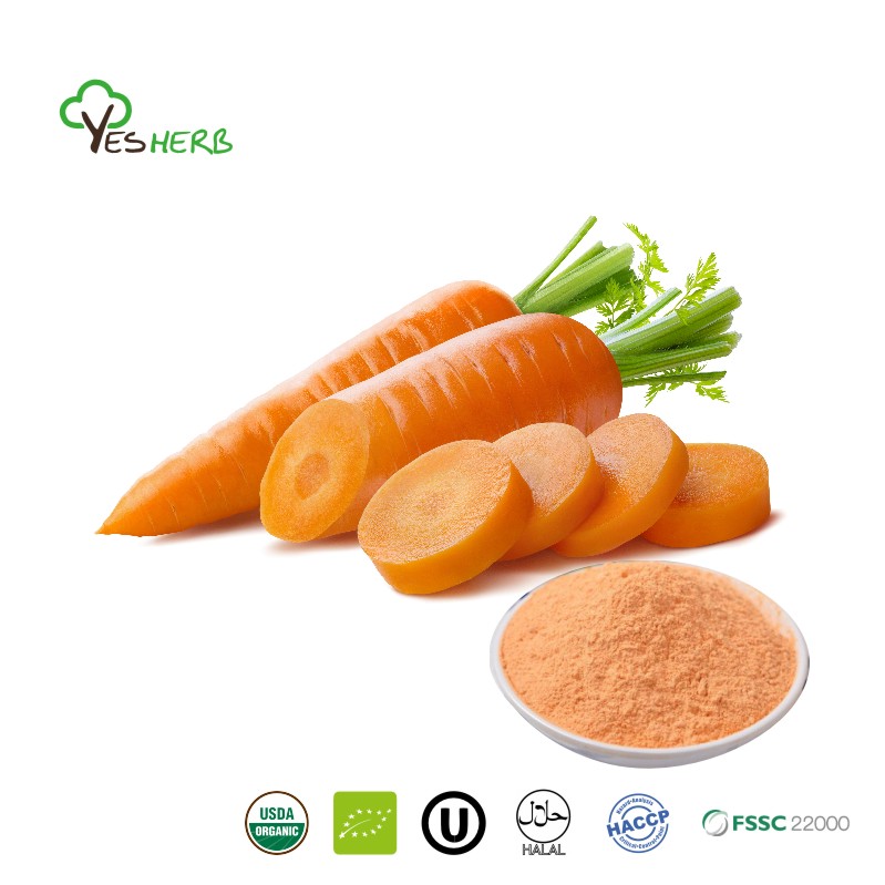 Polvere di carote