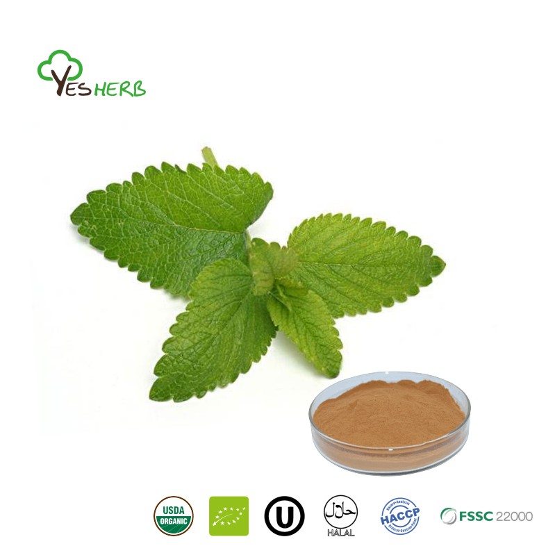 Lemon Balm Extract