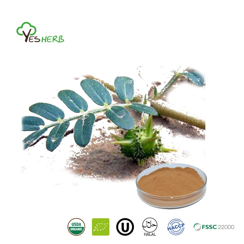 Tribulus Terrestris Extract
