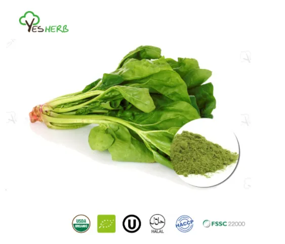How Do Green Vegetable Powder Benefit Your Body