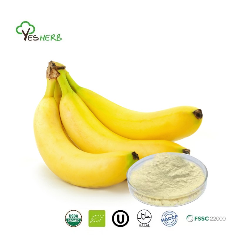 china-banana-powder-wholesale-in-bulk