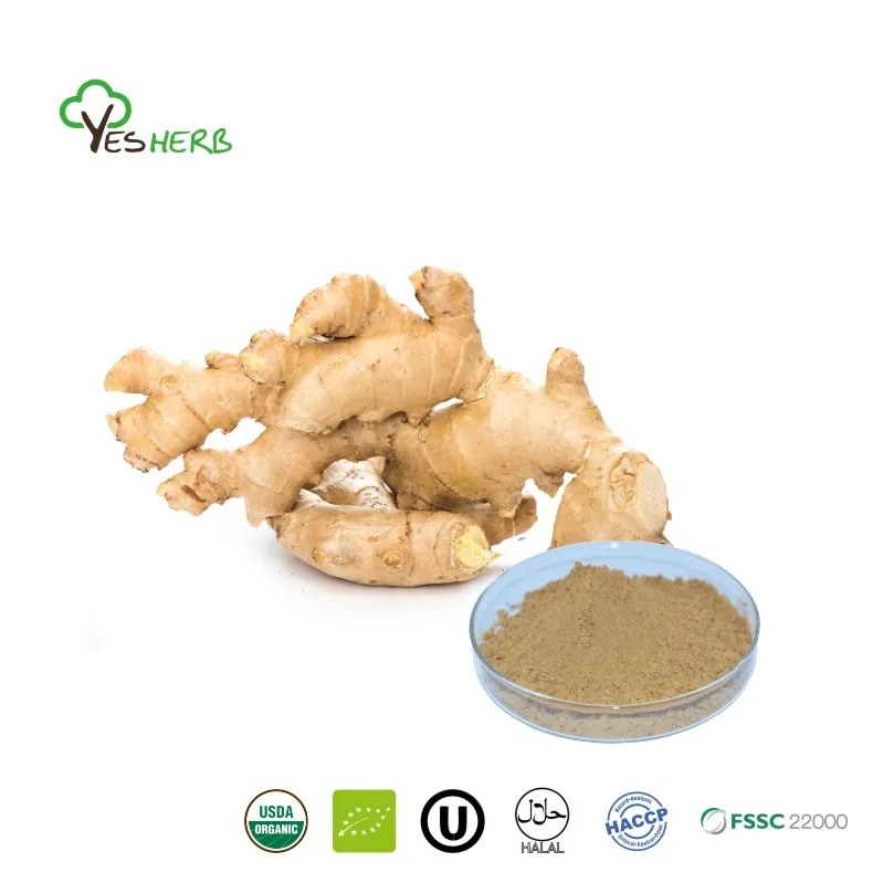 What Is Ginger Extract Used For