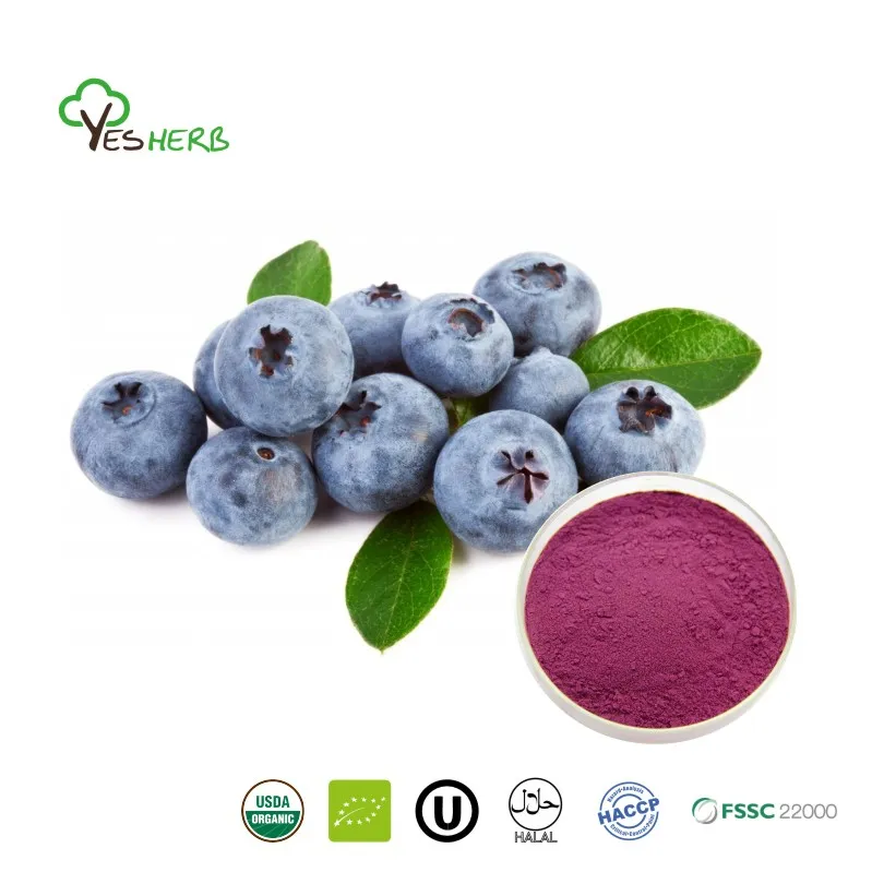 What Are the Benefits of Blueberry Powder