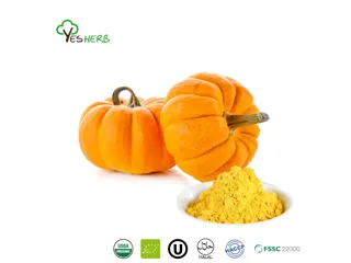 Pumpkin Powder: Is It Good for You?