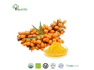 How Do You Use Sea Buckthorn Powder?