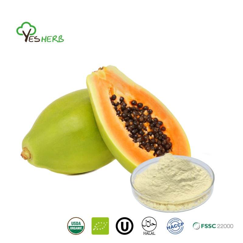 High Quality Bulk Papaya Powder Wholesale