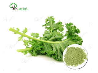 Applications of Kale Powder