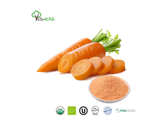 Uses and Benefits of Vegetable Powder