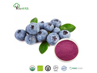 What is Fruit Powder