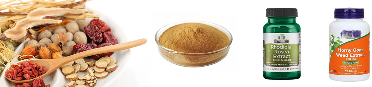 Garcinia Cambogia Extract
