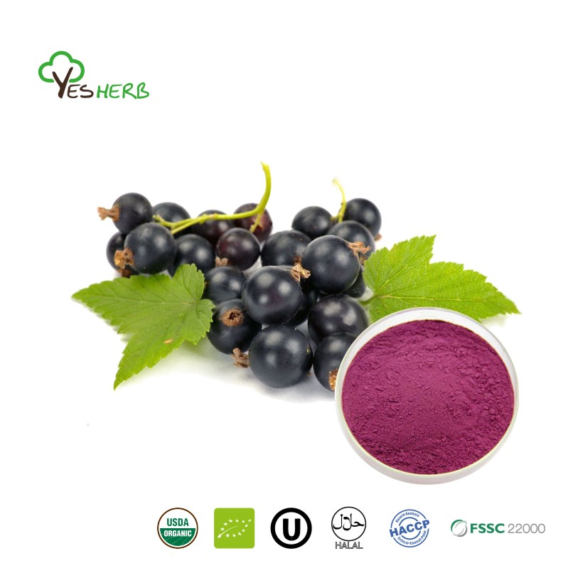 Black Currant Powder