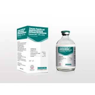 Oxytetracycline injection is used in dogs and cats to treat bacterial infections, including sinus respiratory infections, wound infections, pneumonia, oral infections, and hemophagocytic infections.