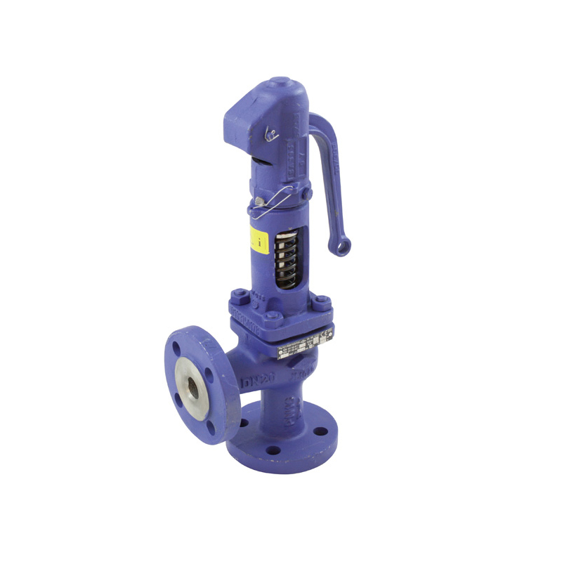 Marine Cast Iron Globe Valve