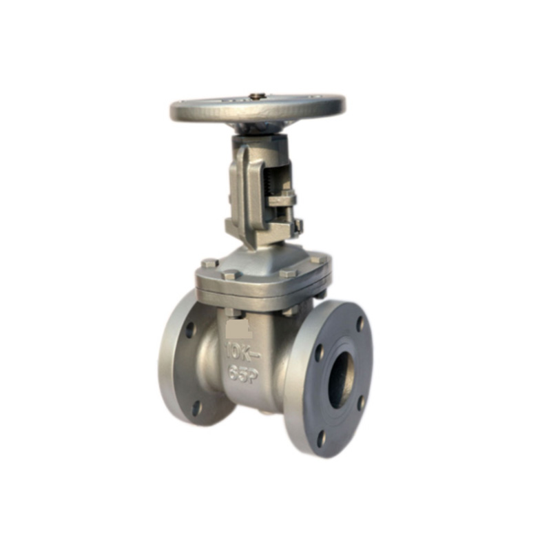 Cast Steel DIN Lift Type Check Valve