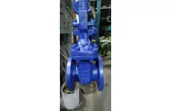 The Order HY-305 for Cast Iron Stop Valve and Gate Valve have been Finished Install