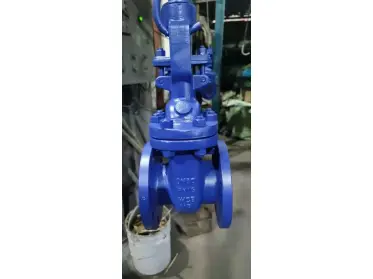 The Order HY-305 for Cast Iron Stop Valve and Gate Valve have been Finished Install