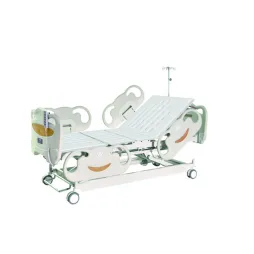 LORI Electric Five Functions Bed