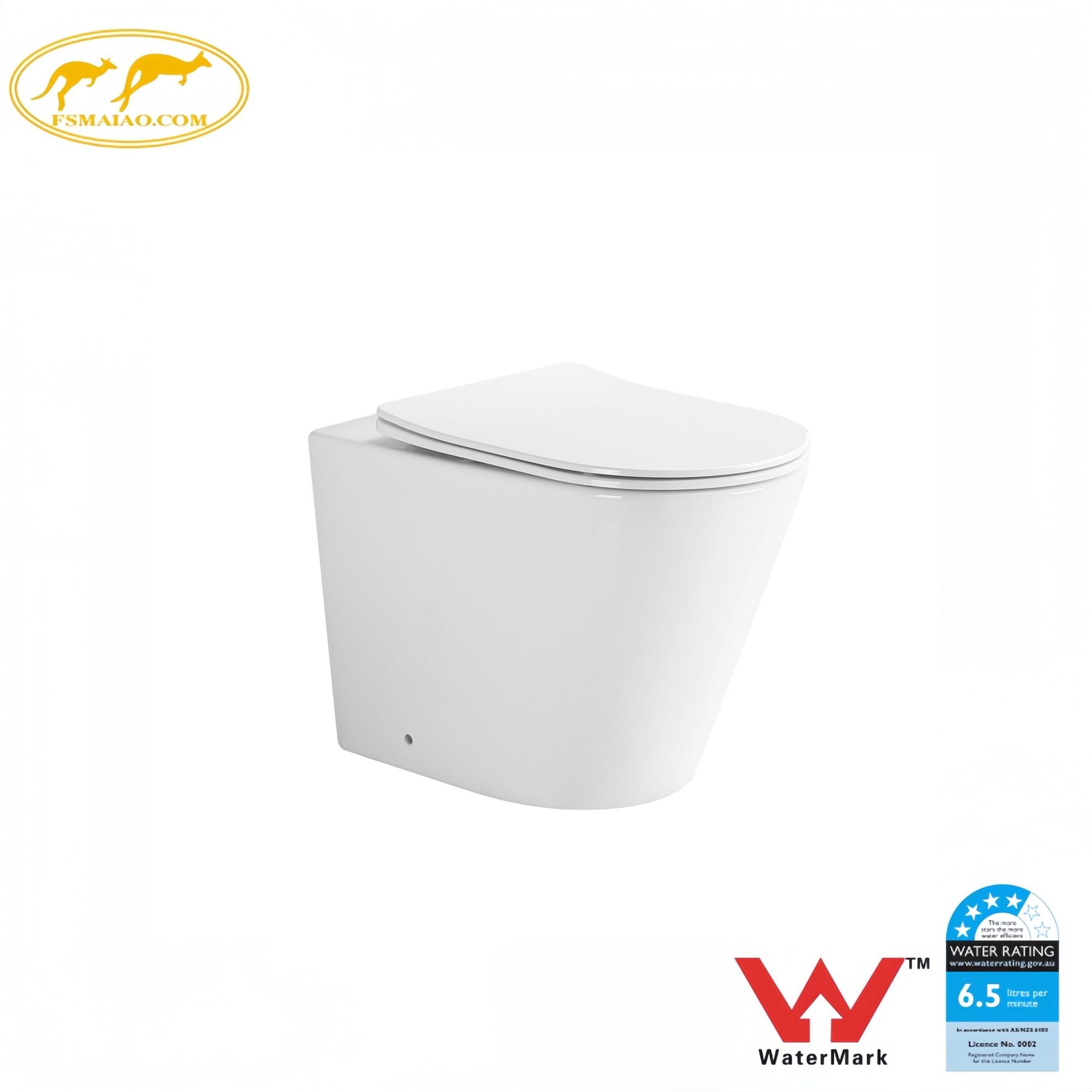 Watermark Dual Flush system Ground to install toilet