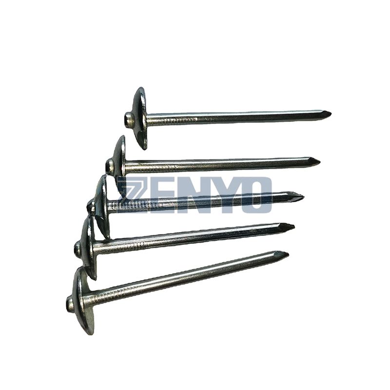 Electro Galvanized Roofing Nails