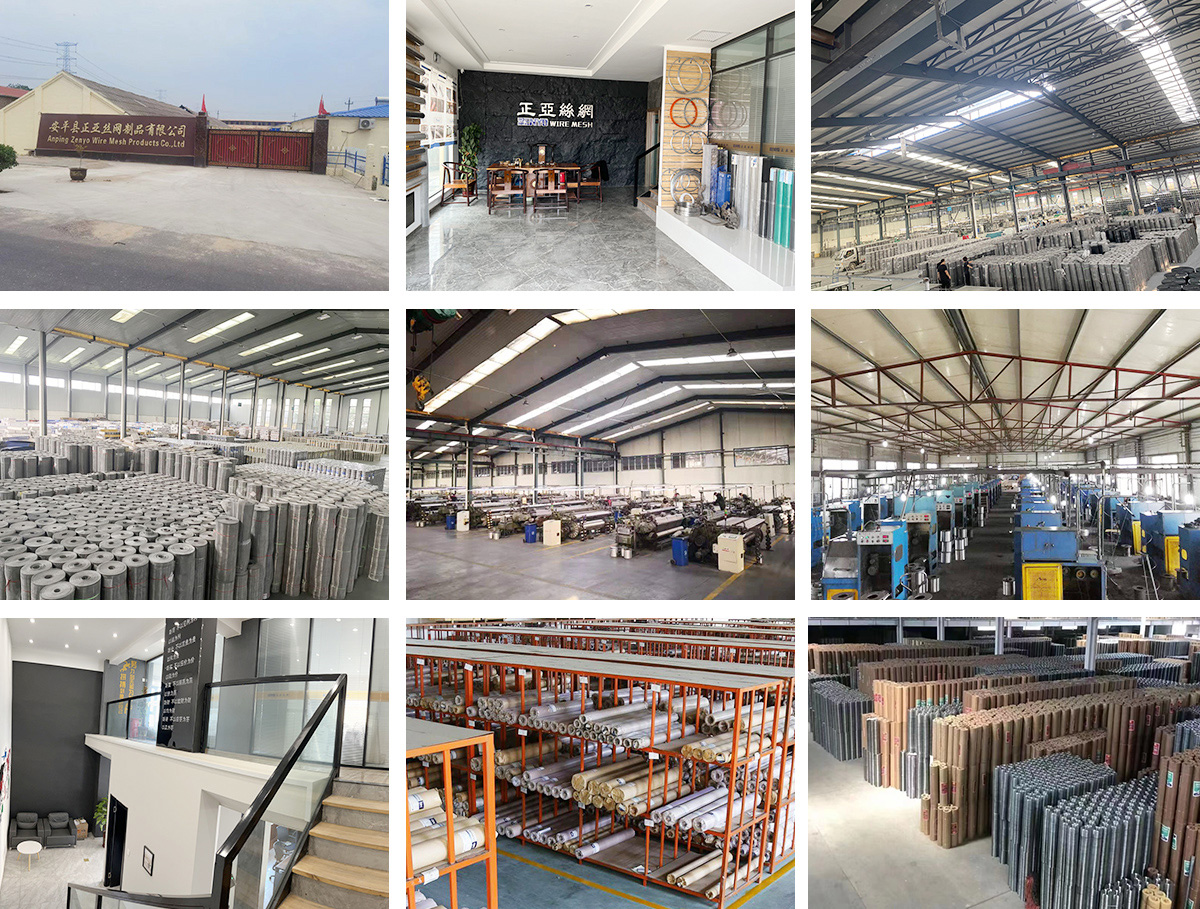 professional manufacturer and supplier of wire mesh