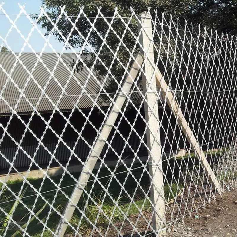 Razor Wire Fence
