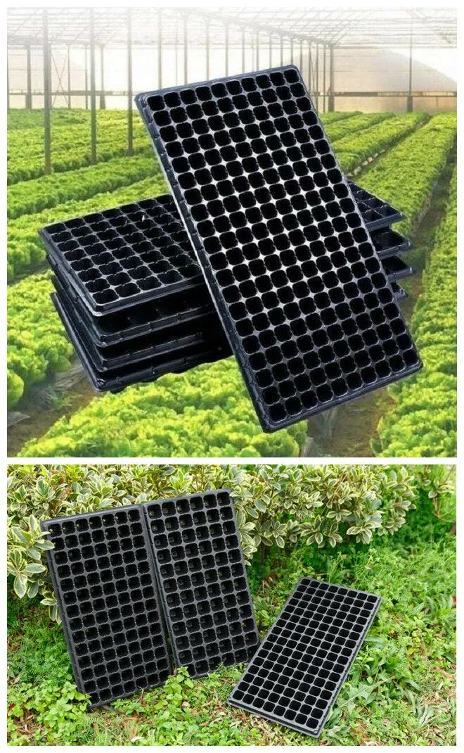 Technical Specifications For Melon Seedling Plug Tray