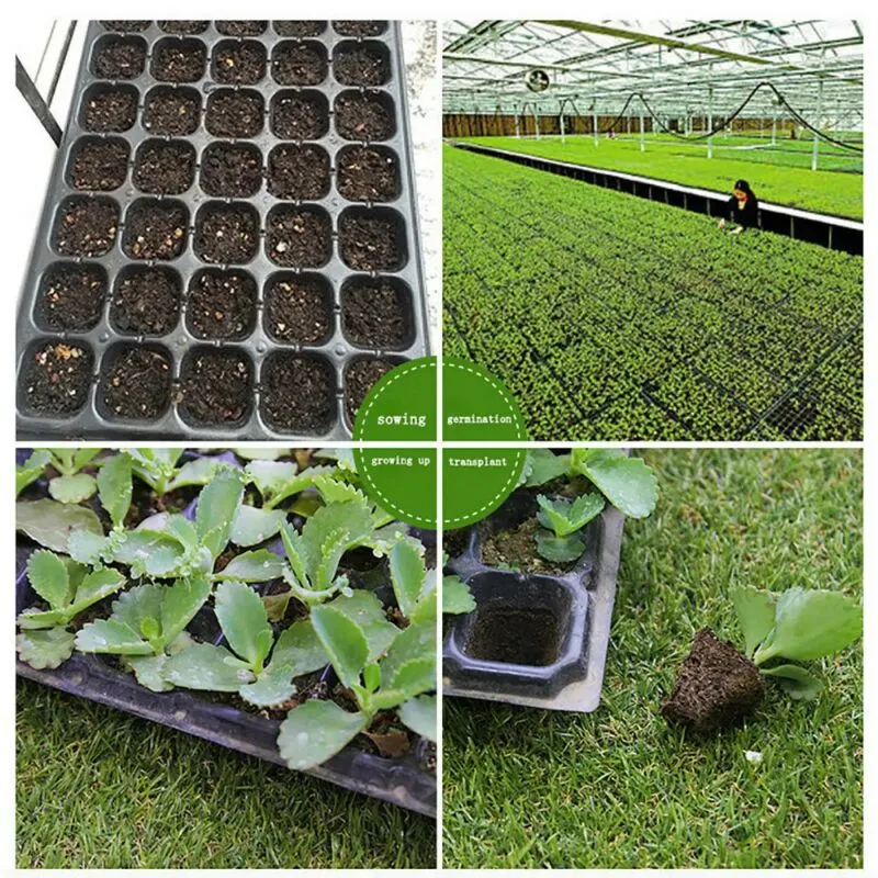 Different Production Methods Of Plastic Seedling Tray