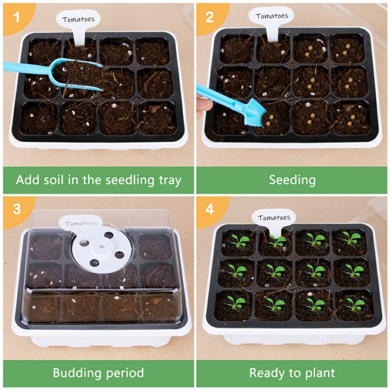 thumbnail image 2 of Smart Germination Kit COMBO - Includes Filters & Tweezers - For Seeds & Plants 2 of 3