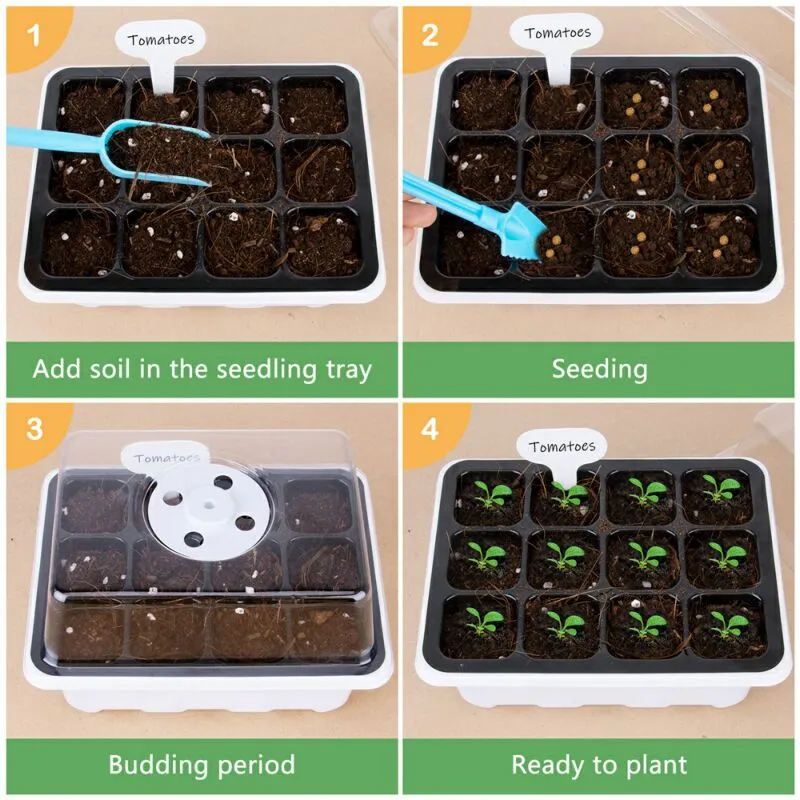 40 Cells Seedling Grow Box