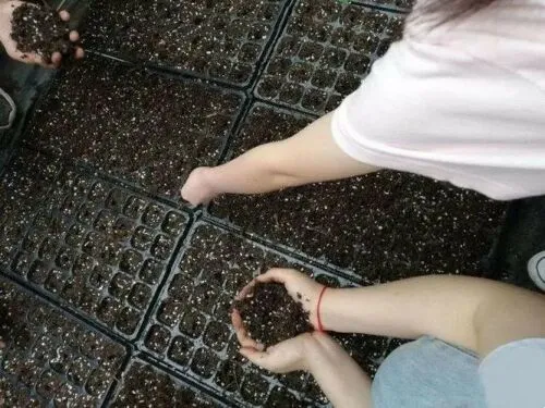 Instructions pour le kit de démarrage pour cultivateur de semis