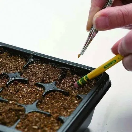 Instructions pour le kit de démarrage pour cultivateur de semis