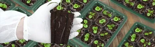 Instructions pour le kit de démarrage pour cultivateur de semis
