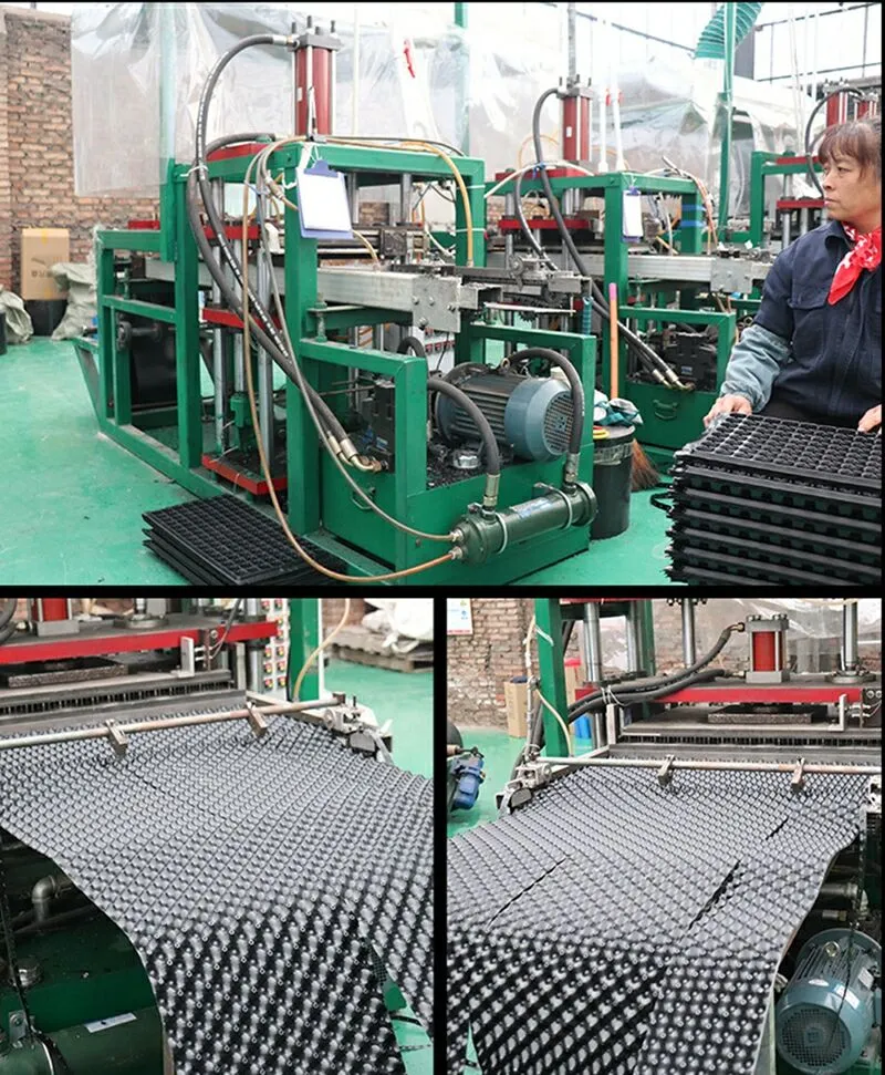 Different Production Methods Of Plastic Seedling Tray