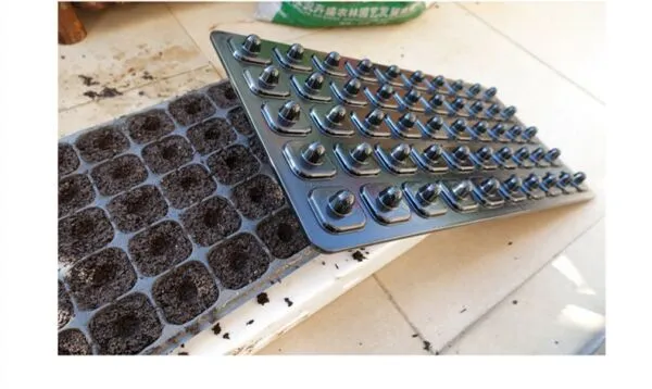 Choosing a seedling tray, and how to sow for reliable germination